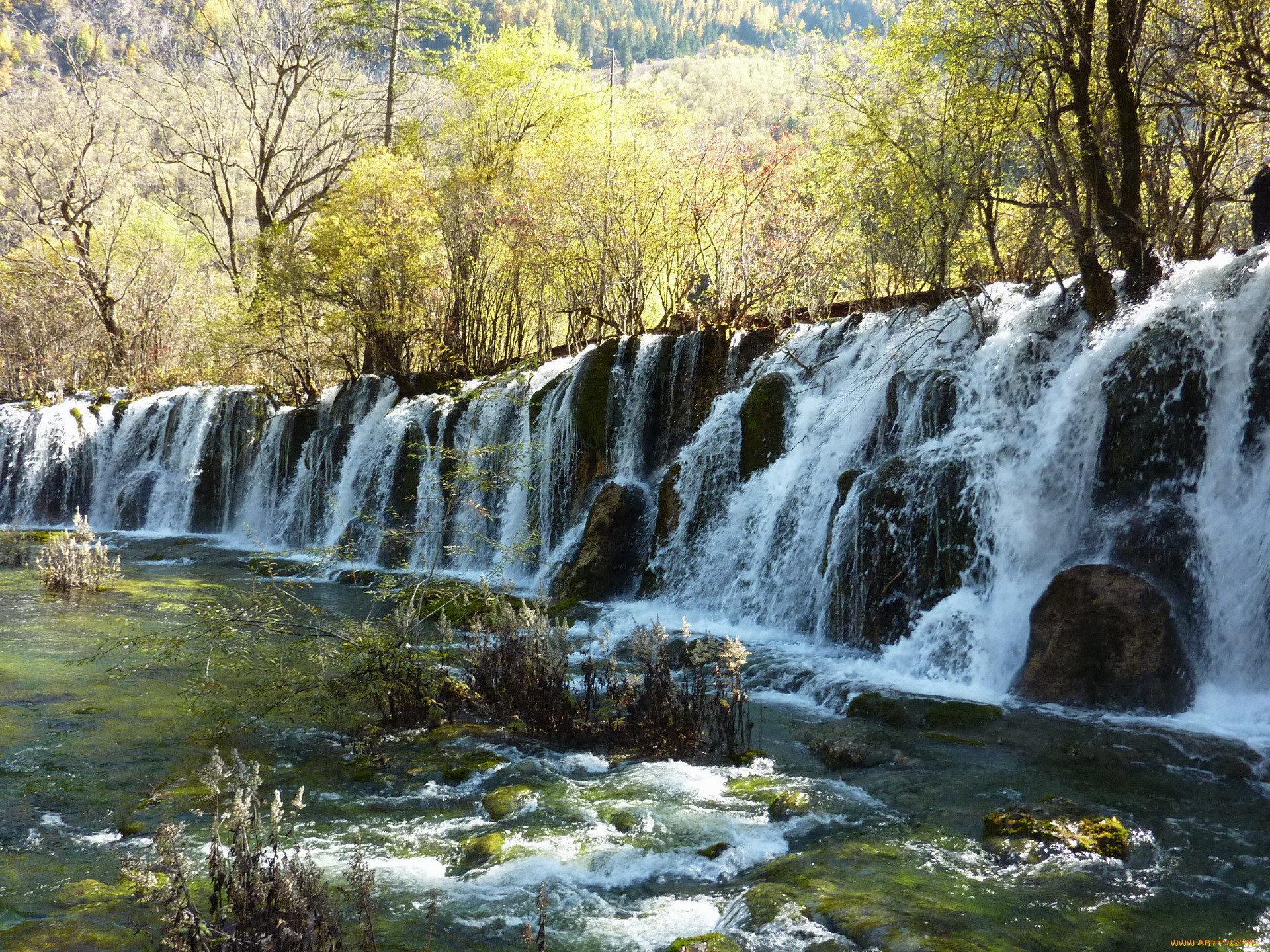 , jiuzhaigou, valley, bamboo, falls, , , 